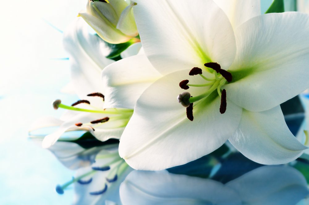 Pope Funeral Service